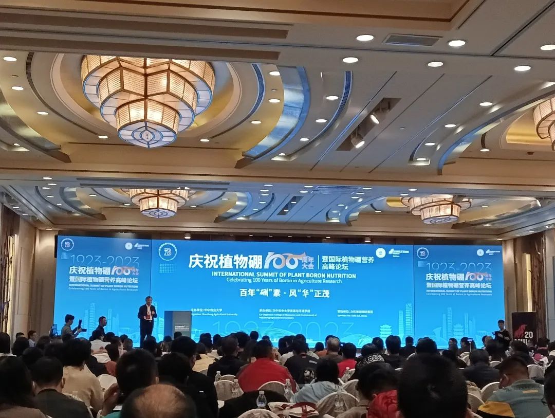 梦之城(中国游) - 官方网站