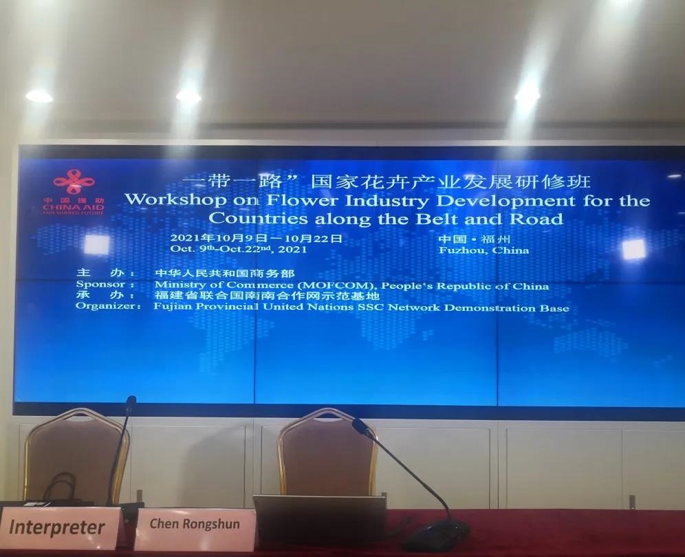 梦之城(中国游) - 官方网站